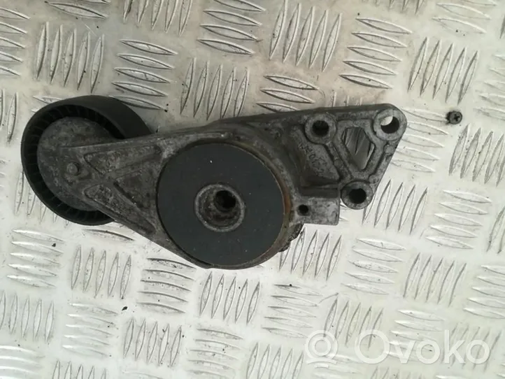 Volkswagen Bora Generator/alternator belt tensioner 06a903315e