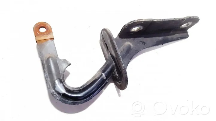 Opel Monterey Engine bonnet/hood hinges 