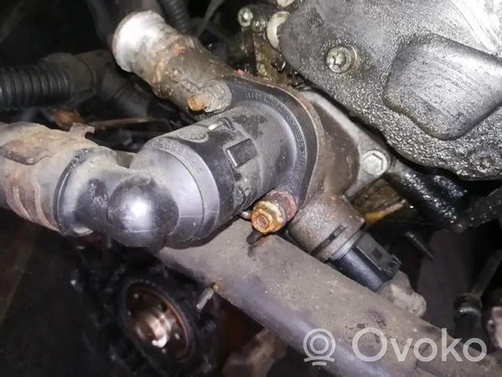 Ford Galaxy Engine coolant pipe/hose 038121144B