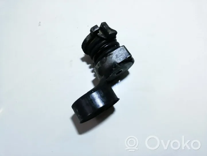 Seat Ibiza IV (6J,6P) Tendicinghia generatore/alternatore 03e903133a