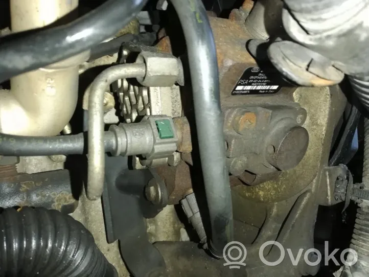 Citroen Nemo Polttoaineen ruiskutuksen suurpainepumppu 0445010102