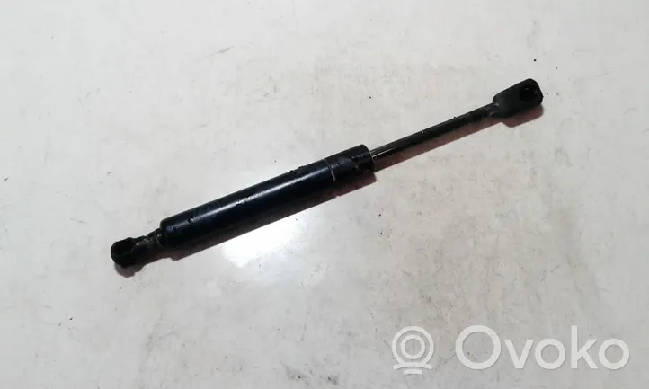 Volkswagen Vento Tailgate/trunk strut/damper 1H582755A