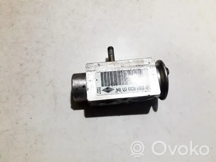 Mercedes-Benz E W211 Air conditioning (A/C) expansion valve 2308300184