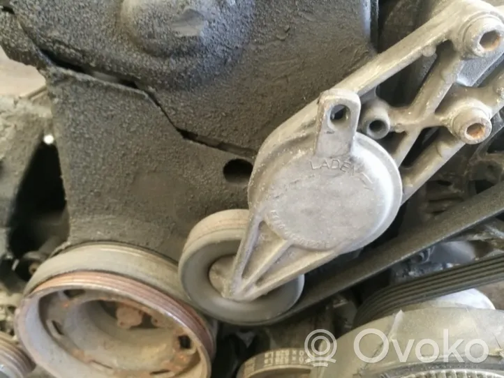 Audi A4 S4 B5 8D Tensor de correa del alternador e0301a120150e