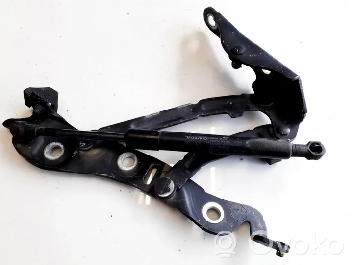 Volvo S60 Cerniera portellone posteriore/bagagliaio 8652462