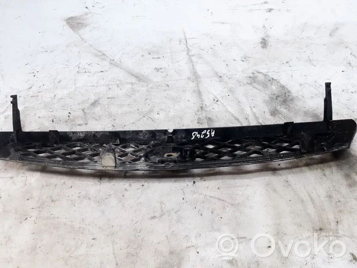 Ford Focus Front grill 