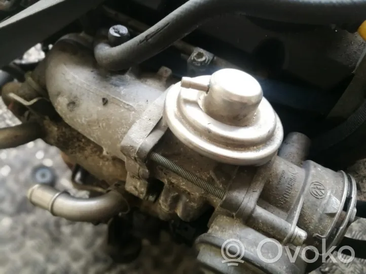 Volkswagen Lupo EGR-venttiili 038131501S