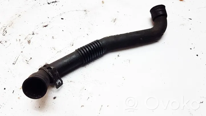 Volkswagen PASSAT B5.5 Breather hose/pipe 