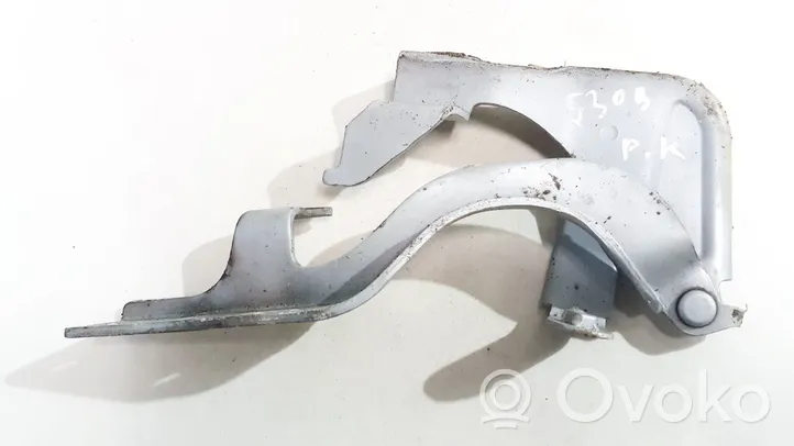 Opel Antara Engine bonnet/hood hinges 