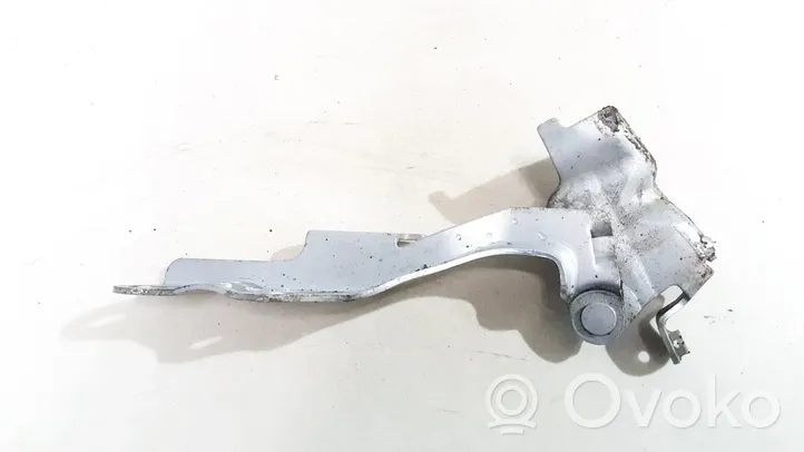 KIA Carnival Engine bonnet/hood hinges 