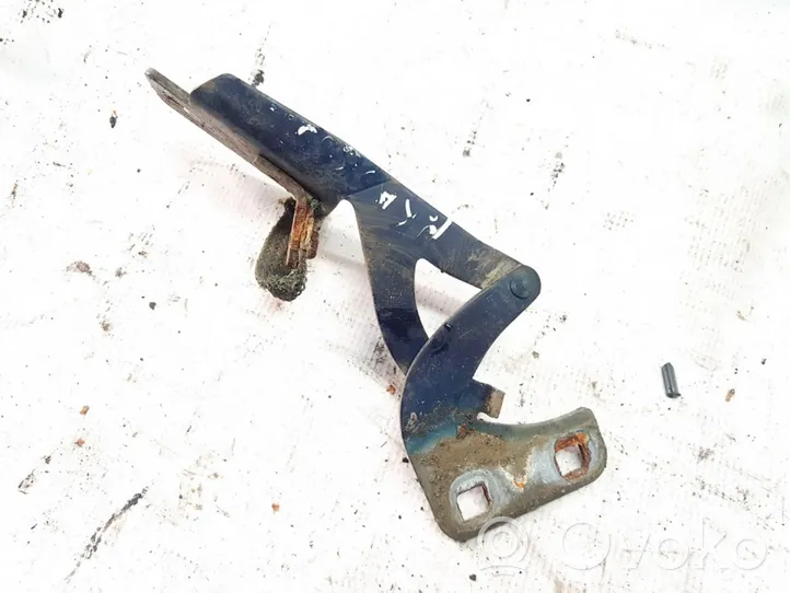 Citroen Berlingo Engine bonnet/hood hinges 