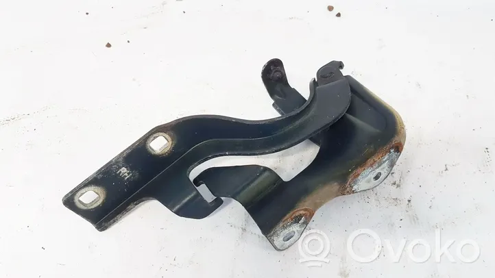 Opel Antara Engine bonnet/hood hinges 