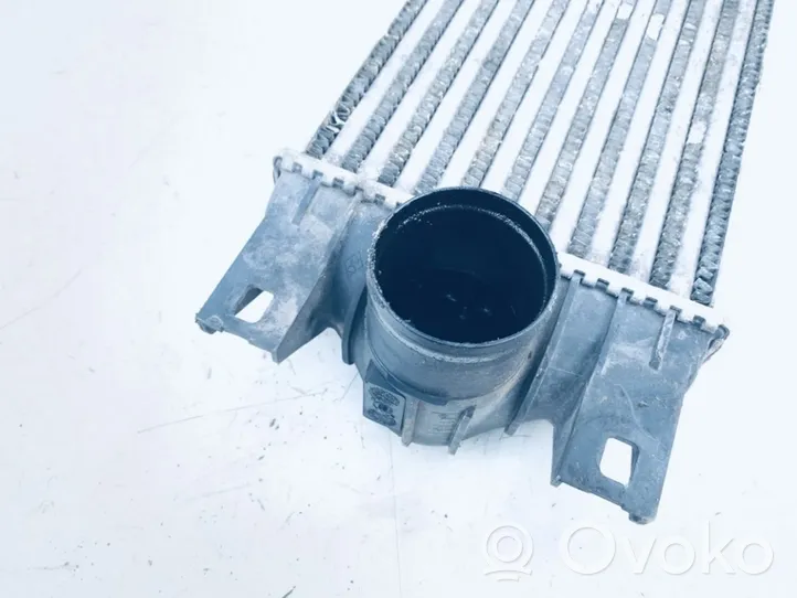 Opel Movano A Chłodnica powietrza doładowującego / Intercooler 