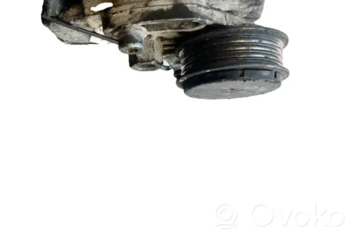 Audi A4 S4 B6 8E 8H Tendicinghia generatore/alternatore 