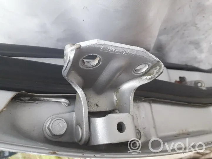 Hyundai Sonata Rear door lower hinge 