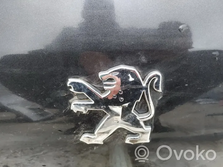 Peugeot 607 Valmistajan merkki/logo/tunnus 