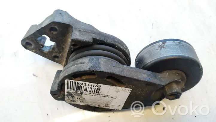 Seat Ibiza III (6L) Napinacz paska alternatora 045903315a