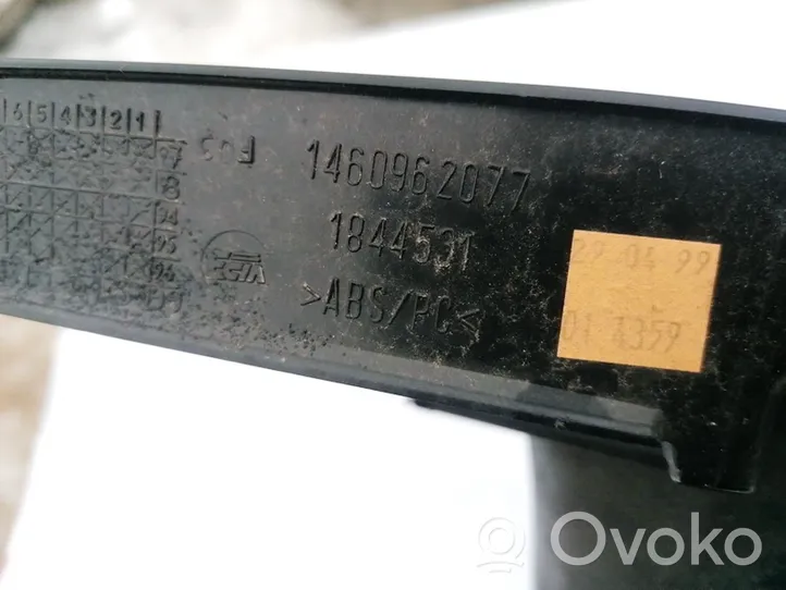 Peugeot 806 Instrumentu paneļa dekoratīvā apdare 1460962077