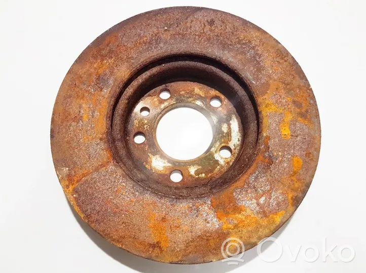 Volkswagen Transporter - Caravelle T5 Front brake disc ventiliuojamas