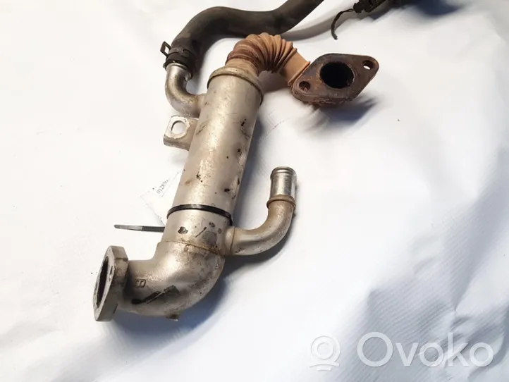 Volkswagen Polo IV 9N3 EGR aušintuvas 045131513P