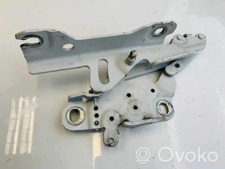 BMW 1 F20 F21 Cerniere del vano motore/cofano 13989610