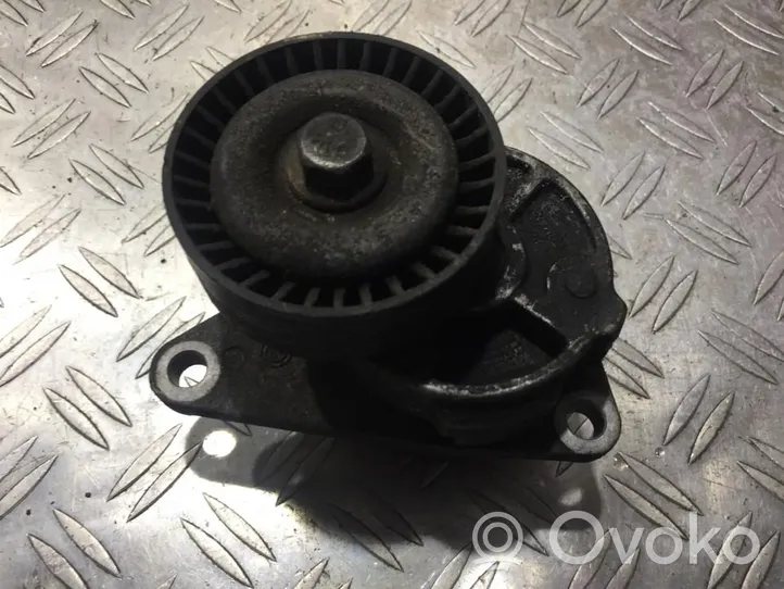 Volvo S60 Generator/alternator belt tensioner 