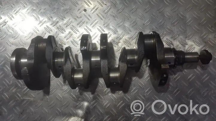 Peugeot 405 Crankshaft 