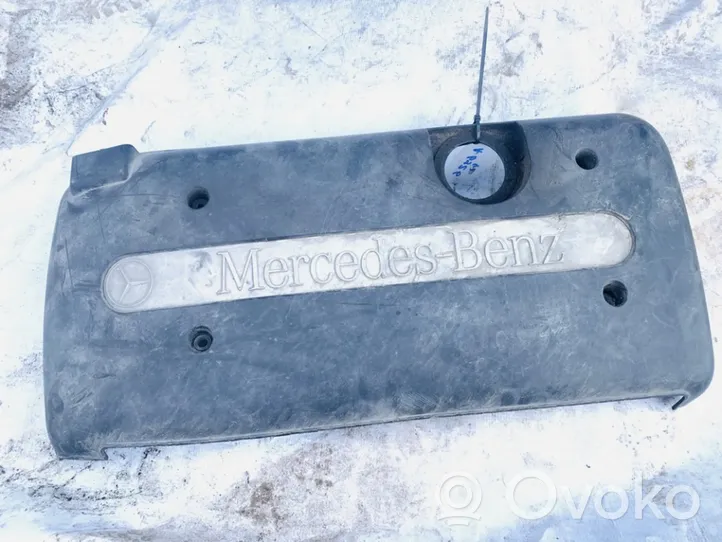 Mercedes-Benz E W211 Copri motore (rivestimento) a6460100267