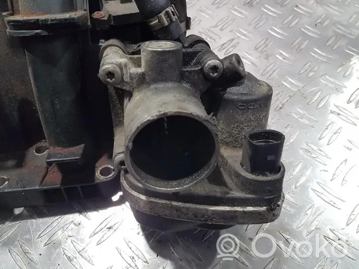 Volkswagen Polo Throttle valve 036133062N