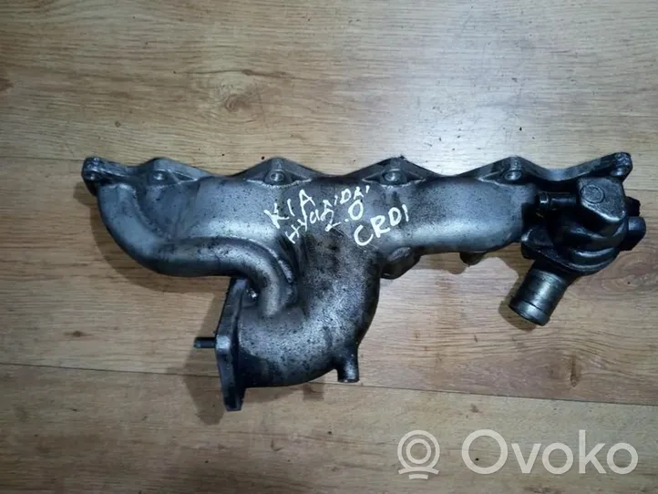 Hyundai Elantra Intake manifold 