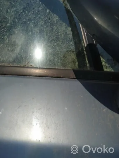 Renault Vel Satis Rivestimento modanatura del vetro della portiera anteriore 