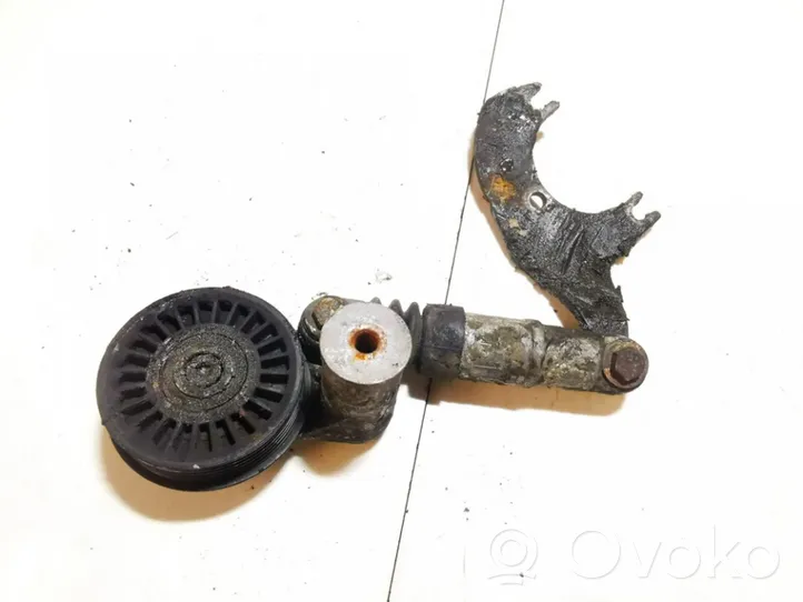 Volkswagen PASSAT B5.5 Tendicinghia generatore/alternatore F23470909