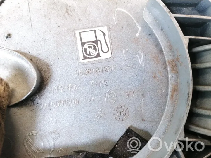 Citroen C3 Sportello del serbatoio del carburante 9638184280