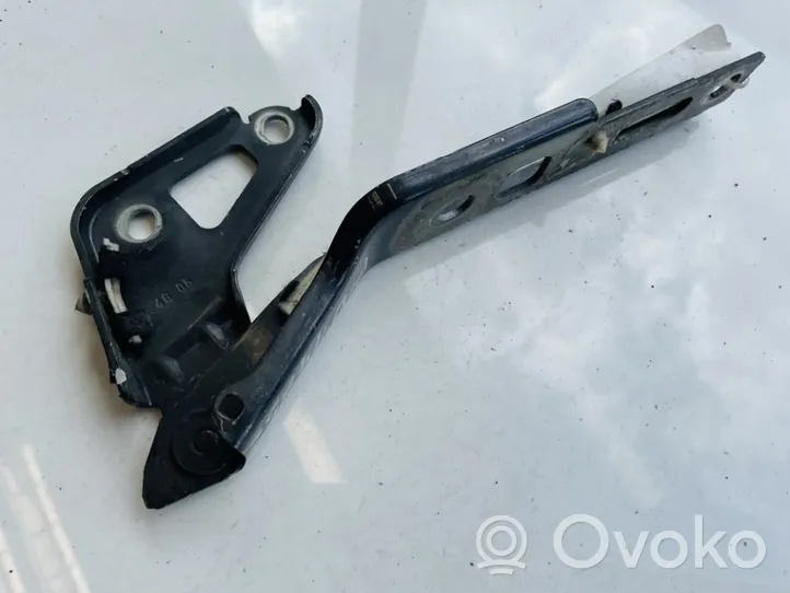 Audi Q7 4L Cerniere del vano motore/cofano 4l0823302