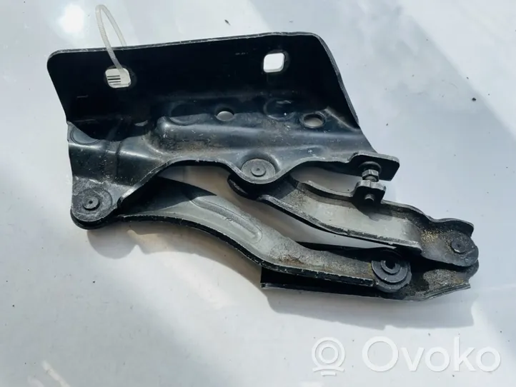 Mercedes-Benz B W245 Cerniere del vano motore/cofano a1698800428