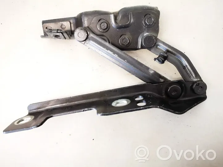 Opel Astra J Cerniere del vano motore/cofano 20879202