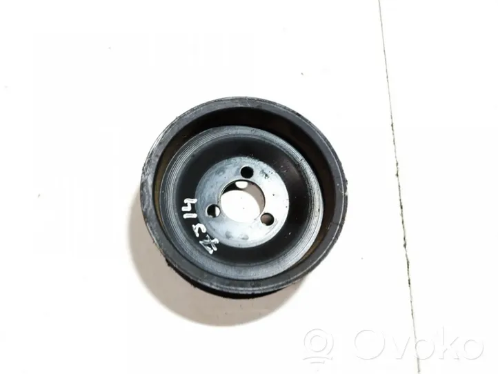 Opel Insignia A Vandens pompos skriemulys 55565004