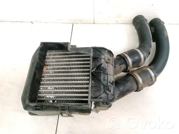 Renault Scenic I Chłodnica powietrza doładowującego / Intercooler 7700872854