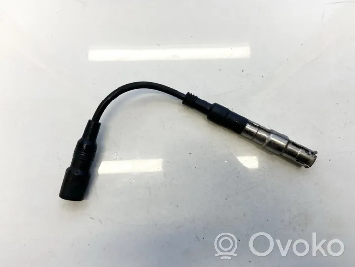 Volkswagen Golf IV Ignition plug leads 0300172104