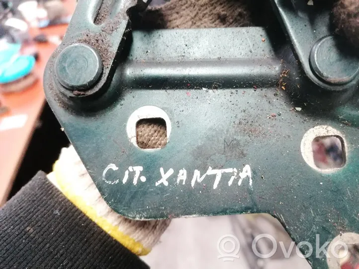 Citroen Xantia Charnière, capot moteur 