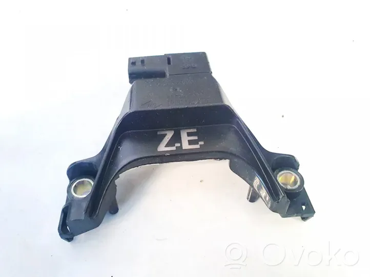 Renault Zoe Other control units/modules 295142799r