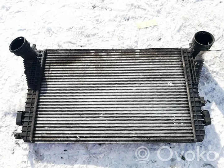 Volkswagen Golf V Radiatore intercooler 1k0145803l