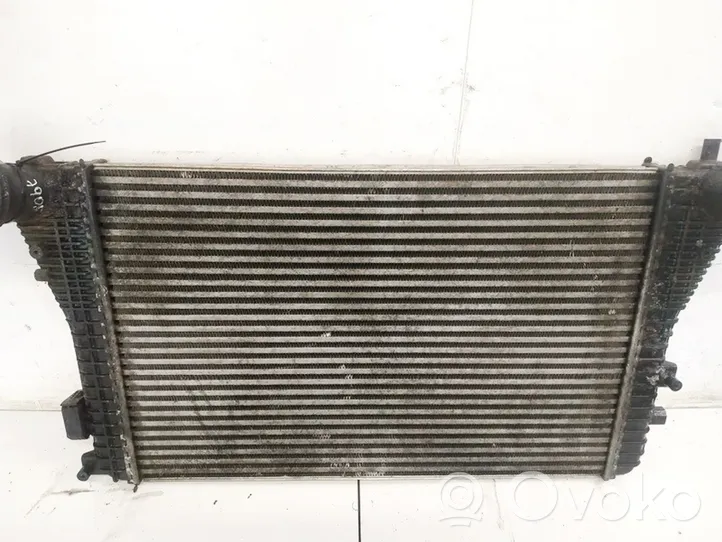 Seat Altea Radiatore intercooler 