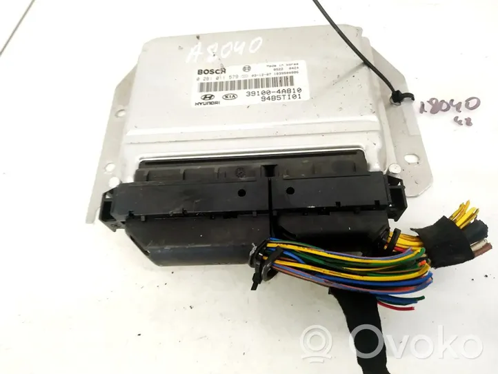 KIA Sorento Sterownik / Moduł ECU 391004A810