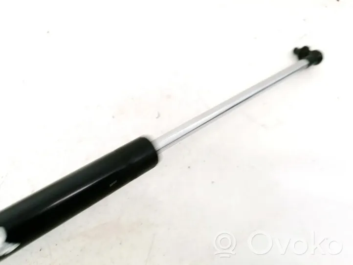 Daewoo Lanos Tailgate/trunk strut/damper 