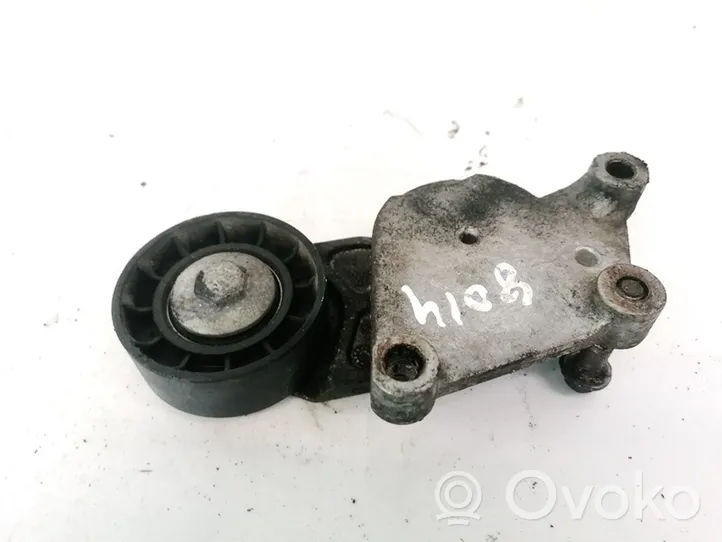 Volvo S40 Napinacz paska alternatora 1FL2TF049F