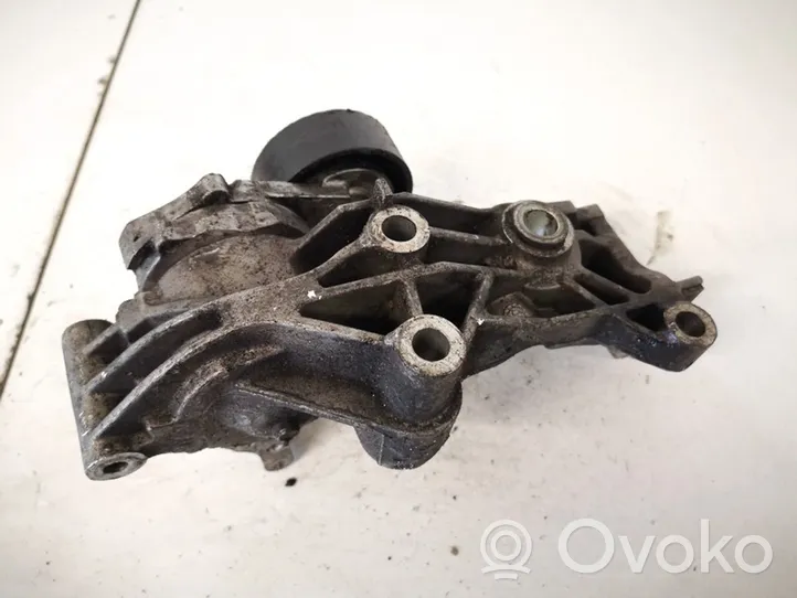 Opel Mokka Generator/alternator belt tensioner 55565570