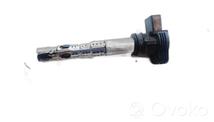 Skoda Octavia Mk2 (1Z) Cewka zapłonowa wysokiego napięcia 06F905115F