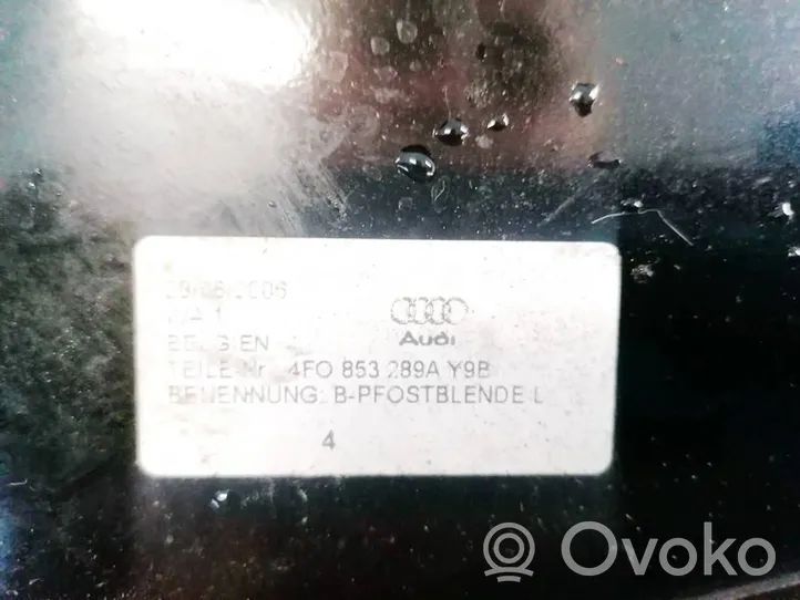 Audi A6 S6 C6 4F Listwa / Uszczelka szyby drzwi tylnych 4F0853289A