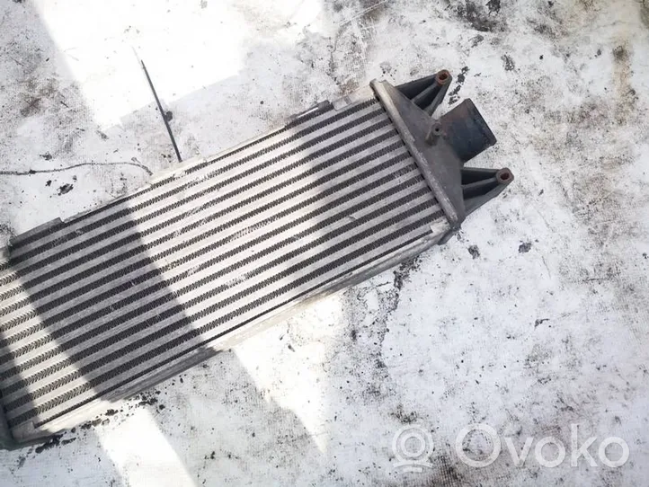 Iveco Daily 40.8 Radiatore intercooler 